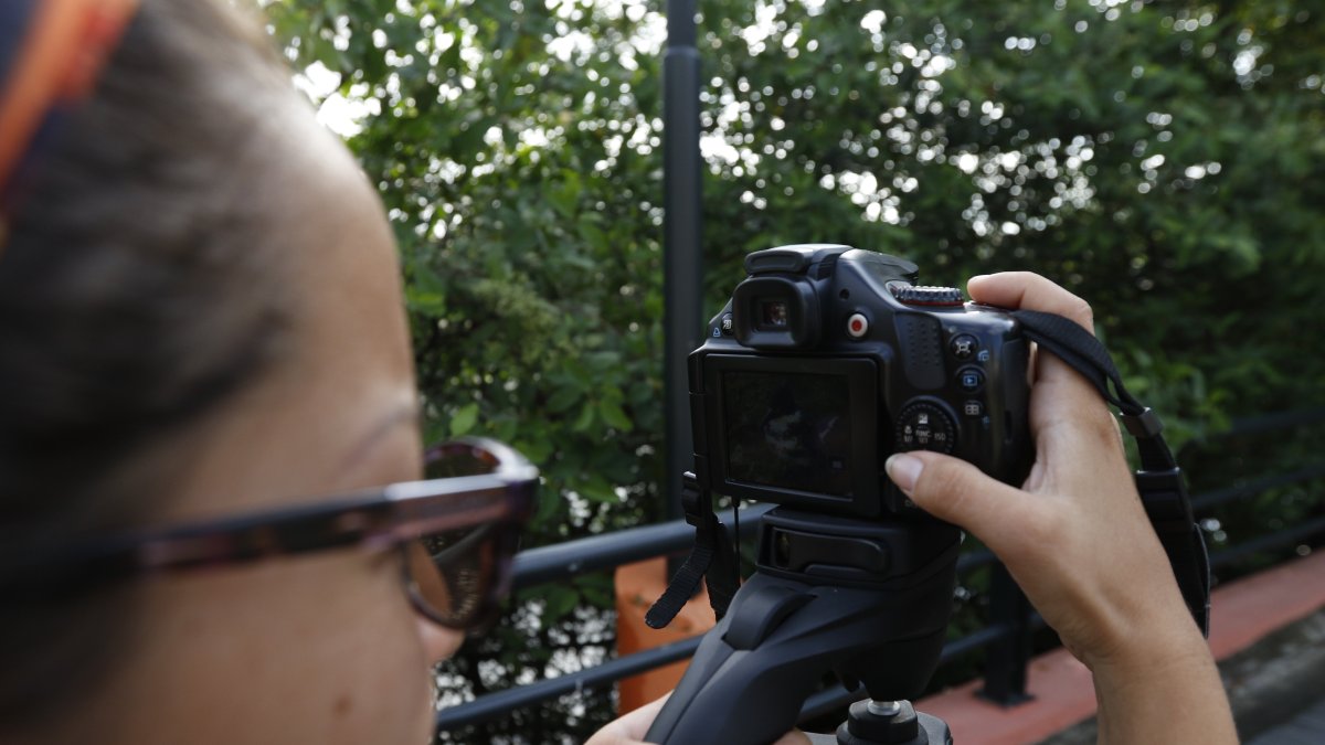 Observadores se alistan para esta actividad.