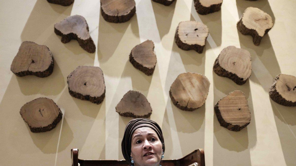 La vicesecretaria general de la ONU, Amina Mahammed, afirmó durante una entrevista con EFE, que la recuperación ante la pandemia de covid-19 deber ser verde y con mayor acceso a fondos para países 