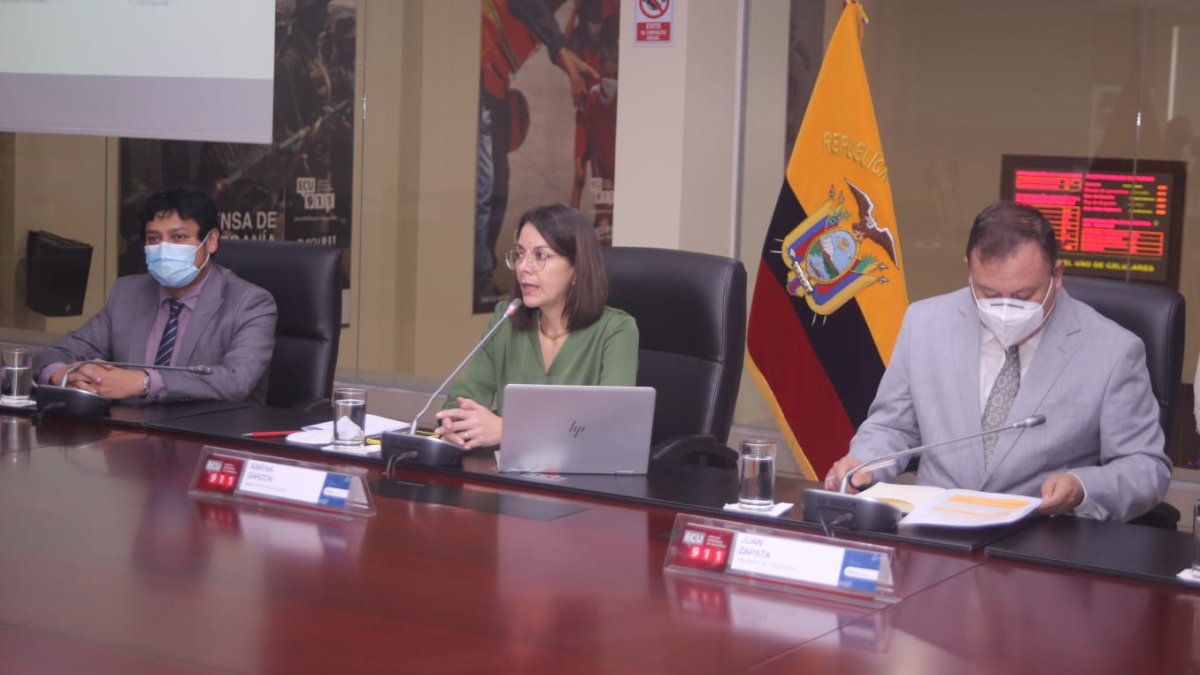 La ministra de Salud, Ximena Garzón, informó sobre la situación de la pandemia en el país, previo al anuncio de nuevas medidas adoptadas por el COE Nacional.