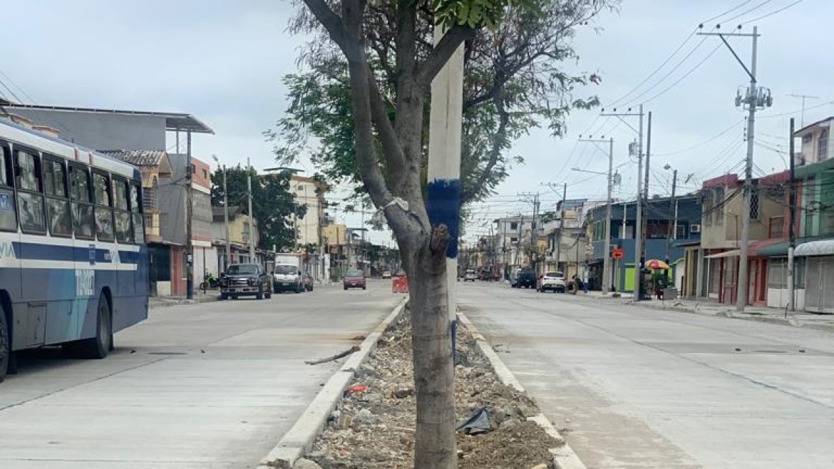 Continúan los trabajos en parterres de la zona