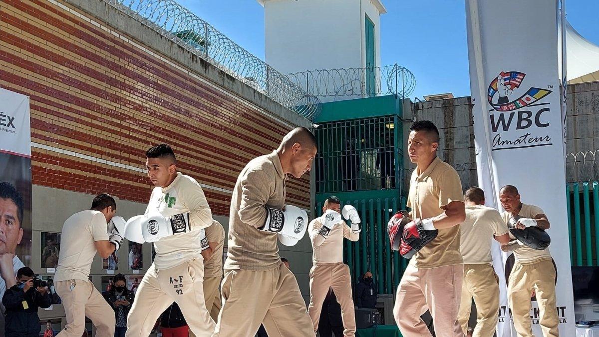 Un grupo de reos mexicanos en una práctica de boxeo en el Centro preventivo y de readaptación social Tenango Del Valle.
