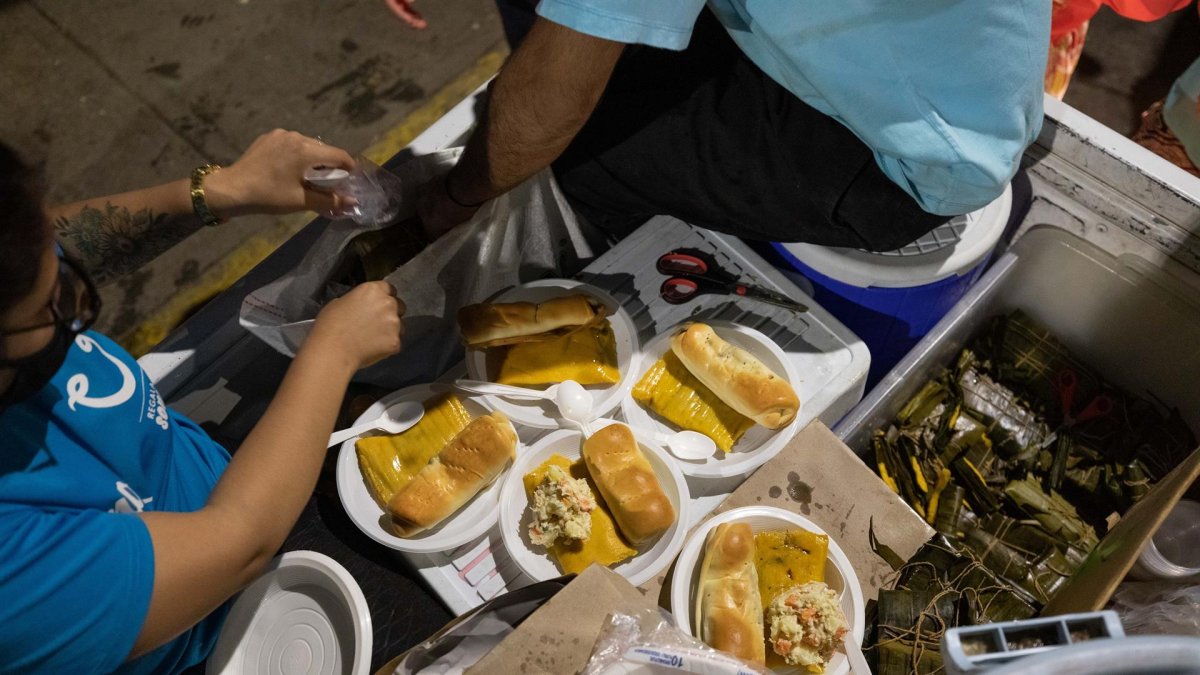 Voluntarios de la ONG 