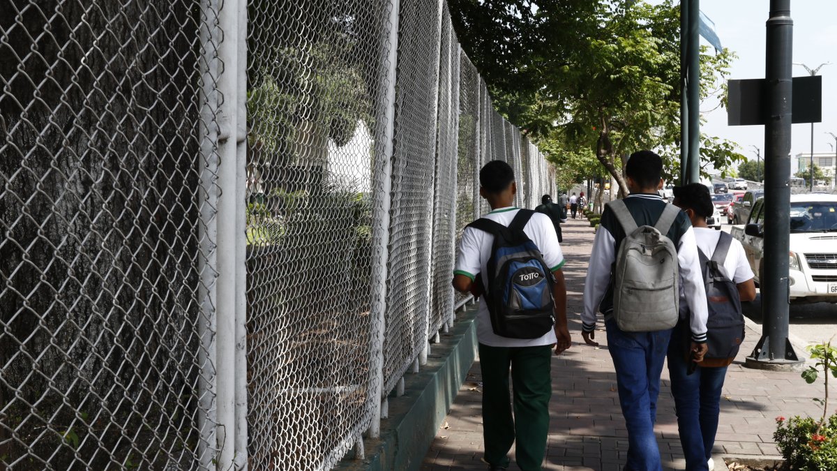 La educación sexual en colegios se ve limitada a instruir en la prevención del embarazo adolescente.