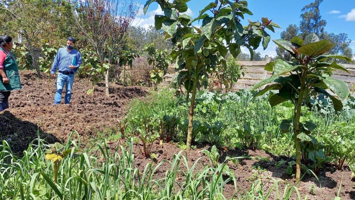 Campo.- El trabajo de los agricultores previo a la llegada de las lluvias.