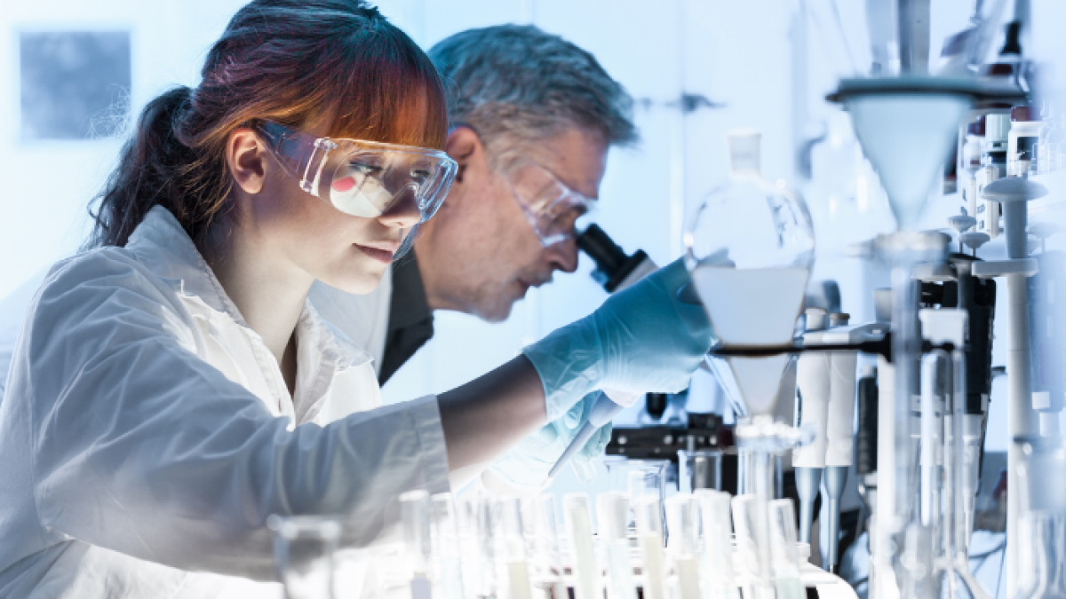 Al 2021 no le faltaron descubrimientos científicos fascinantes.