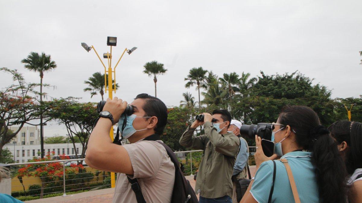Actividad. Además del avistamiento, los participantes conocen sobre la anatomía y alimentación de las aves de la ciudad.