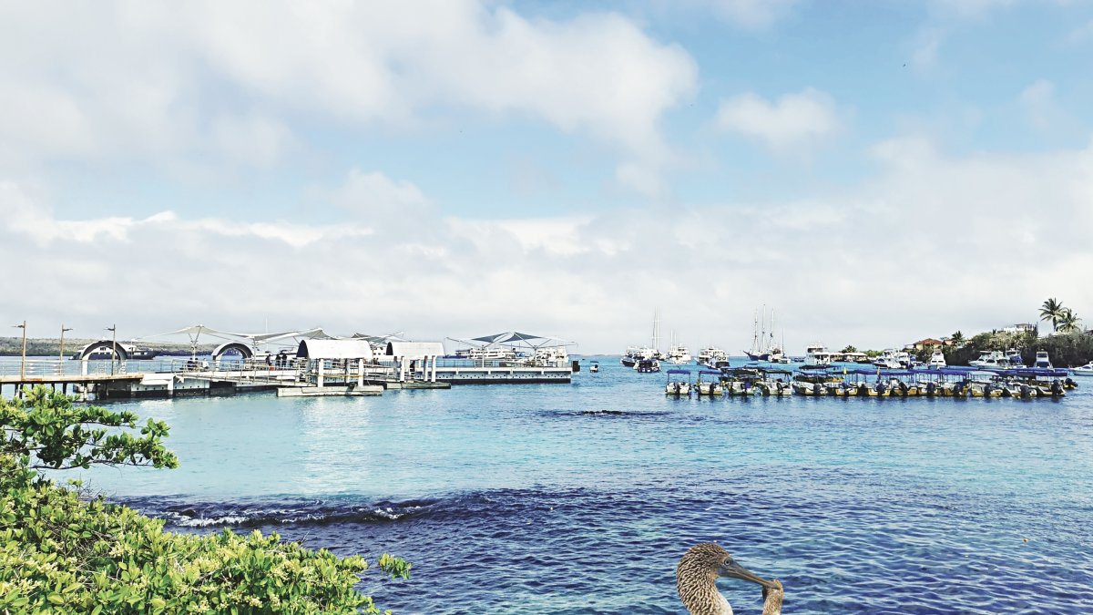 Islas Galápagos, imagen referencial