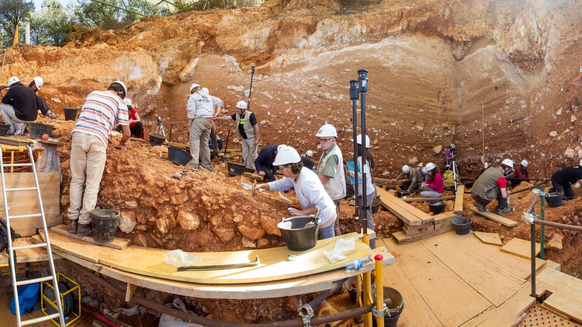 Atapuerta. Una jornada en Dolina, de cuyos restos se obtuvo ADN nuclear para determinar la identidad y el sexo.