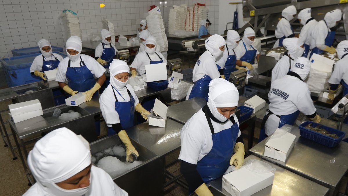 Hasta noviembre de 2021, en el país existían 374.124 personas desempleadas y 2'076.425 en el subempleo.