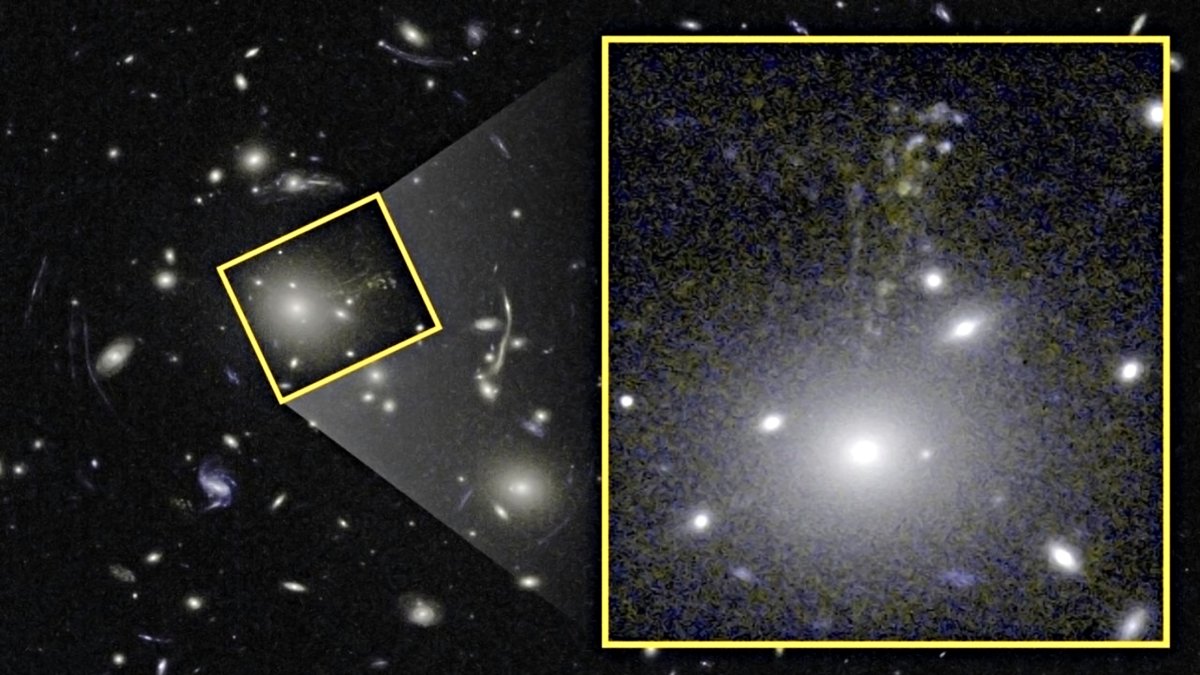 'Caballito de mar cósmico' tomada en luz visible e infrarrojo cercano. La galaxia elíptica gigante, situada en el centro de un cúmulo de constelaciones./