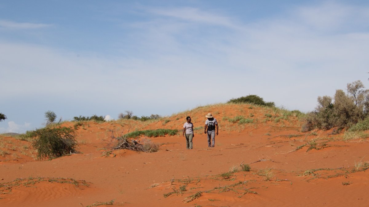 Los científicos Keafon Jumbam (izq.) y Olufemi Olubodun, caminan en la arena roja de la Reserva Natural de Tswalu, en el desierto del Kalahari.