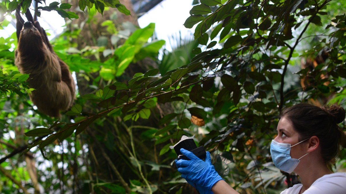 Imagen cedida de una de las participantes en el estudio, Kristine Bohmann, que recoge muestras del aire.