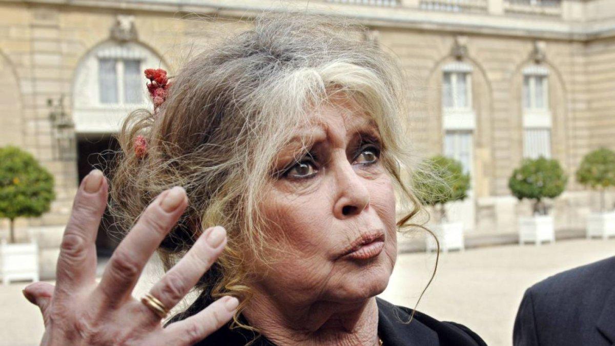 La actriz admitió que consiguió un certificado falso de vacuna contra la fiebre amarilla para ingresar a África.