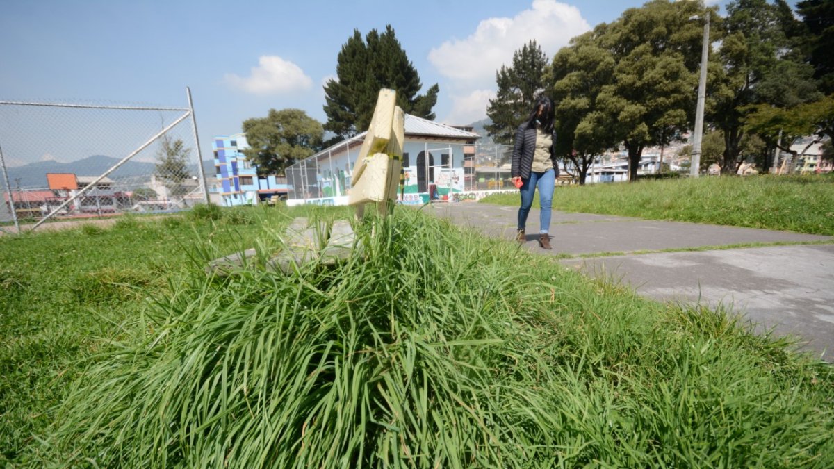 Descuido. En el barrio de Santa Ana, en el sur, un parque luce con la hierba crecida. Las bancas para tomar el sol casi no se distinguen entre la vegetación.