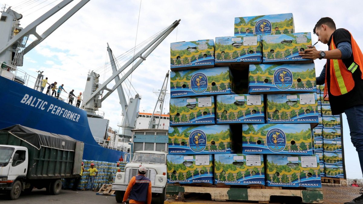 La exportación del banano en la región |
