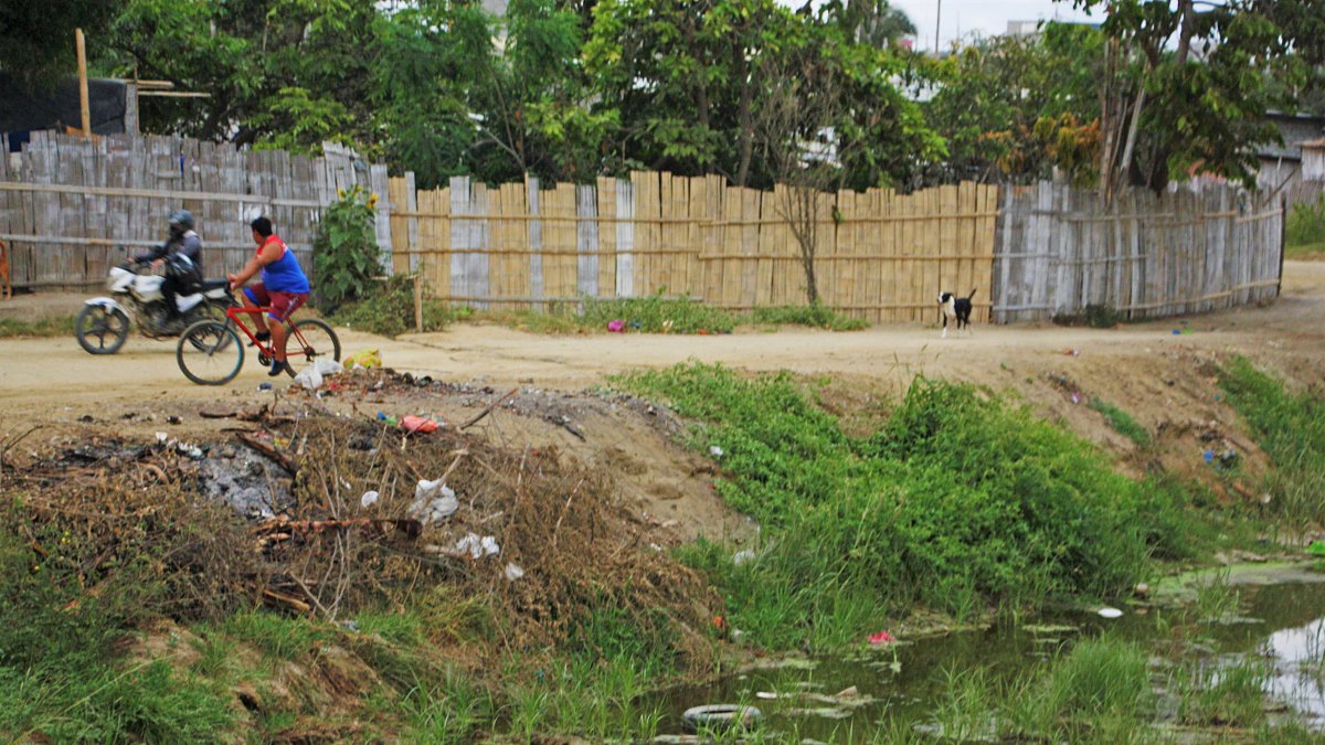 La cantidad de maleza que hay en los canales origina que estos se tapen y provoque inundaciones.