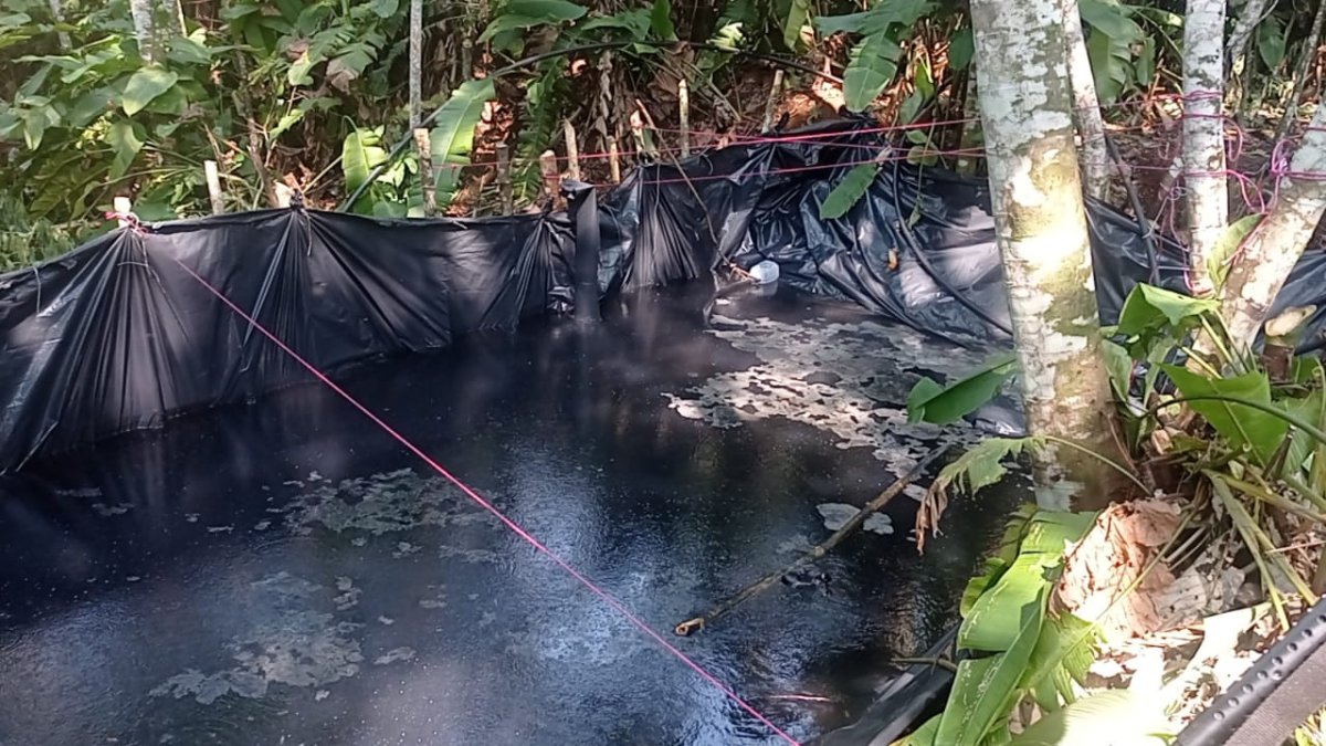 La piscina se realizó con plástico negro en medio de la selva.