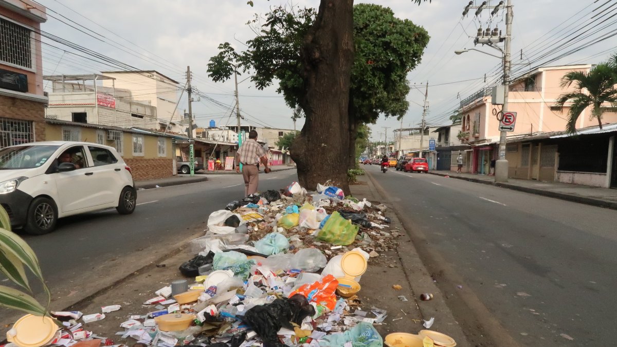 Basura. Decenas de desechos se encuentran al pie de los árboles que están en la avenida principal de la Guangala, al sur de Guayaquil.