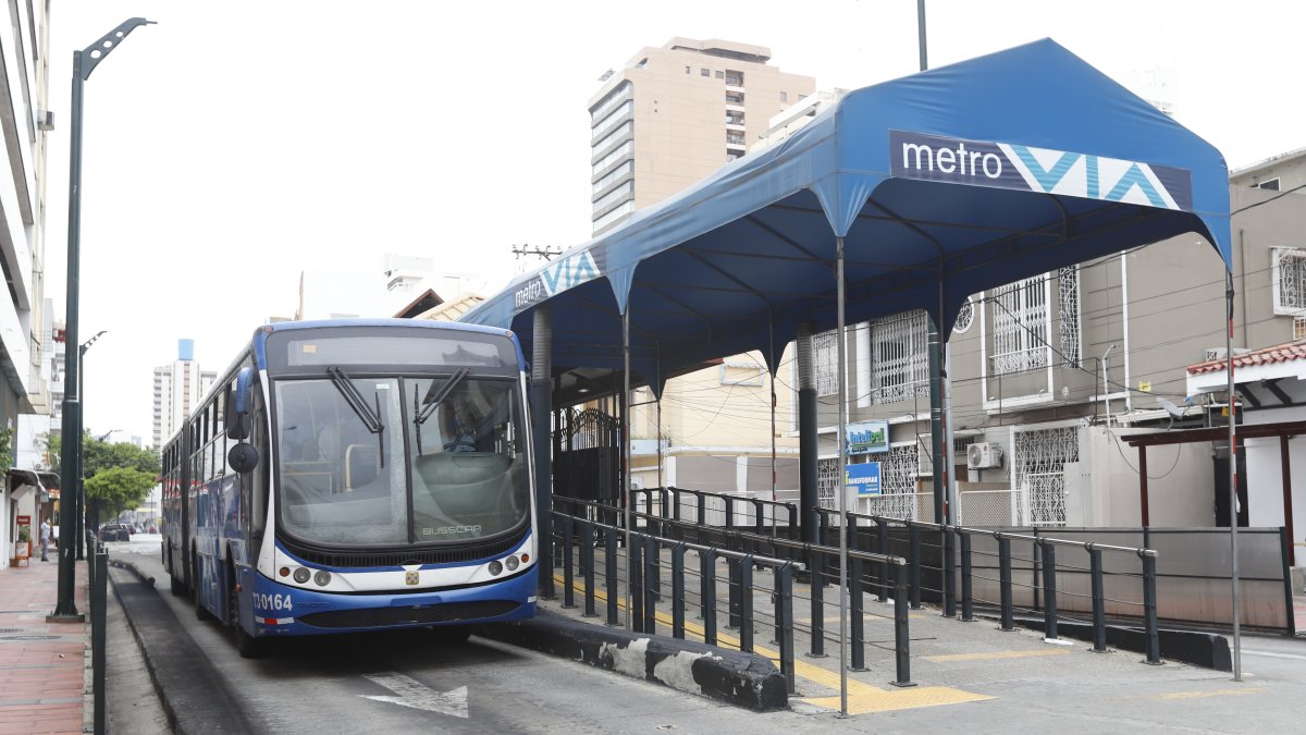 Carné. El Cabildo analiza pedir el certificado de vacunación también el los paraderos de los buses urbanos.