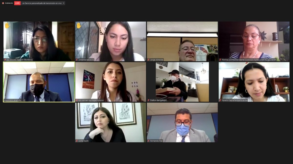 La Comisión de Justicia sesionó de manera virtual.
