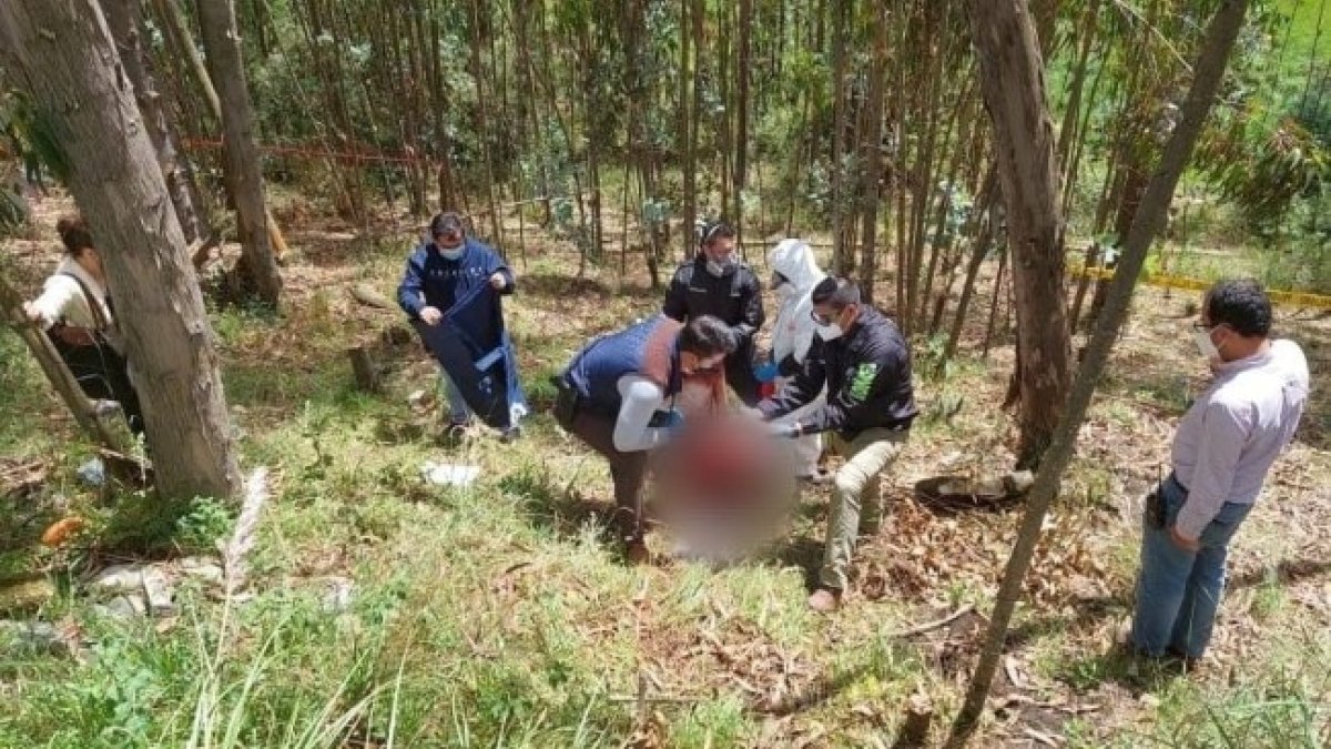 La víctima se encontraba en estado de gestación cuando ocurrió el crimen.