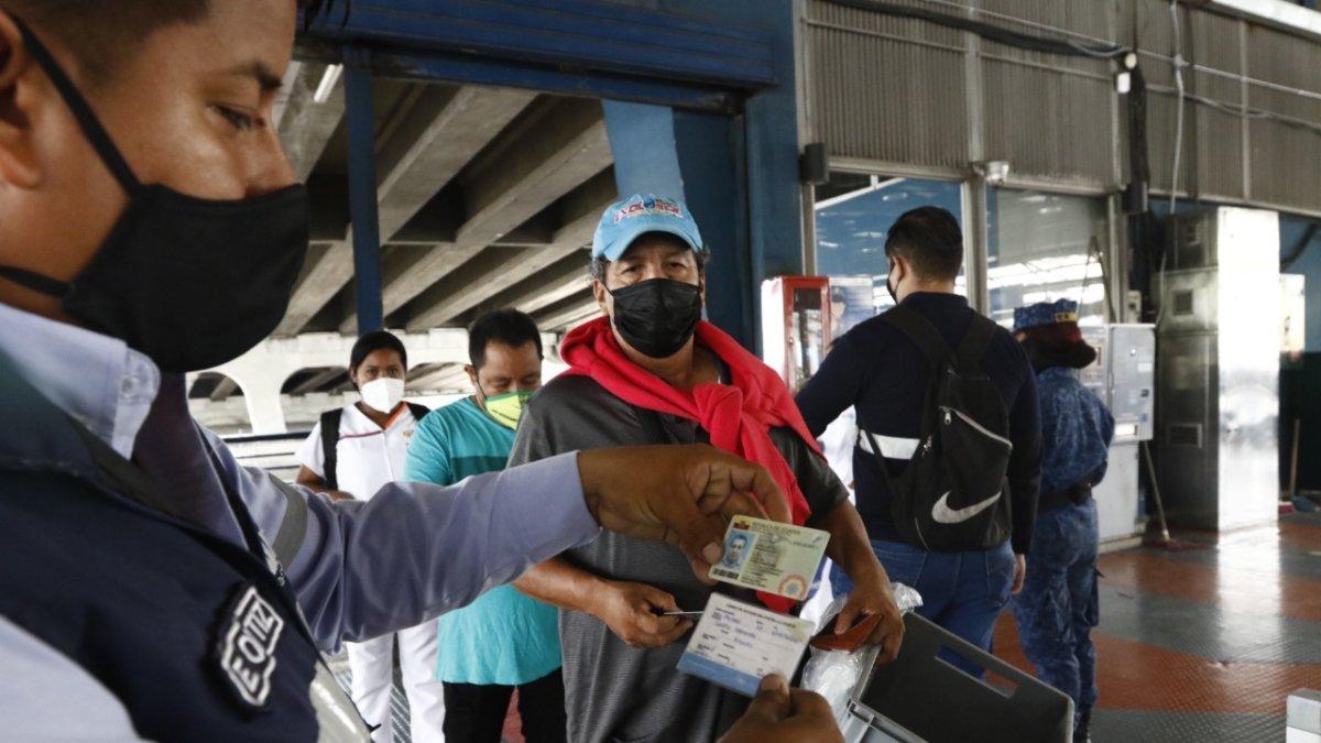 Un funcionario de la Maetrovía revisa el carné de vacunación en la estación de La Atarazana.