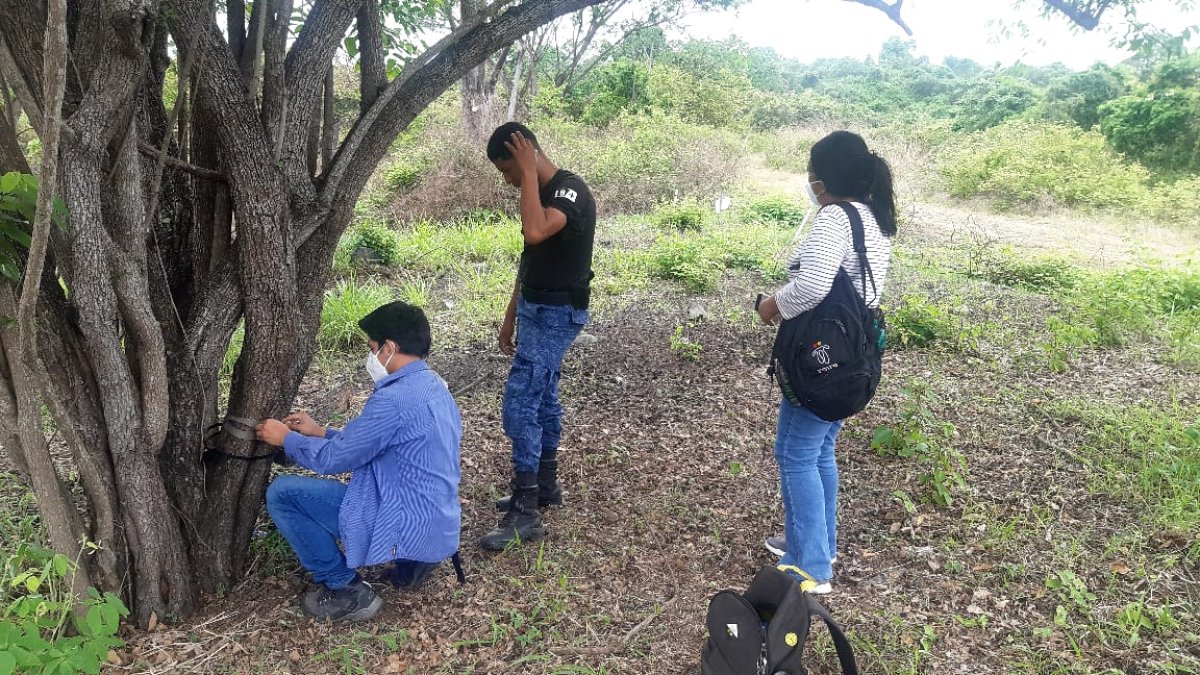 Momentos en que se procedía a colocar cámaras en Bosque Proyector Bosqueira.