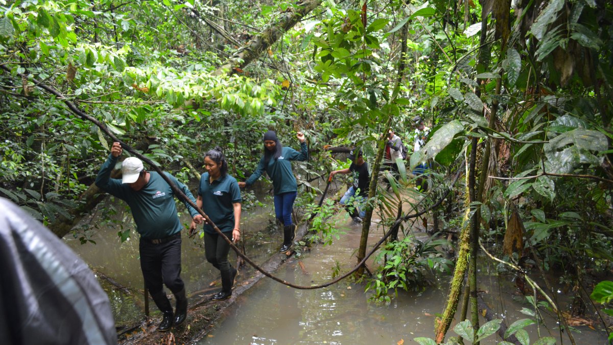 Rutina. Un grupo de los brigadistas que recorre la selva en tareas de vigilancia vuelve al pueblo tras cumplir una jornada de labores.