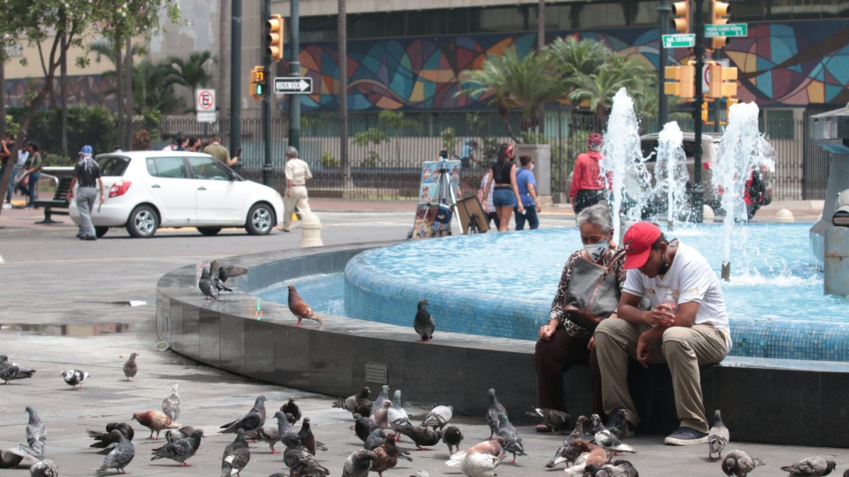 Nostalgia. Estos días, los guayaquileños reviven las escenas solitarias y tranquilas del inicio de la pandemia.