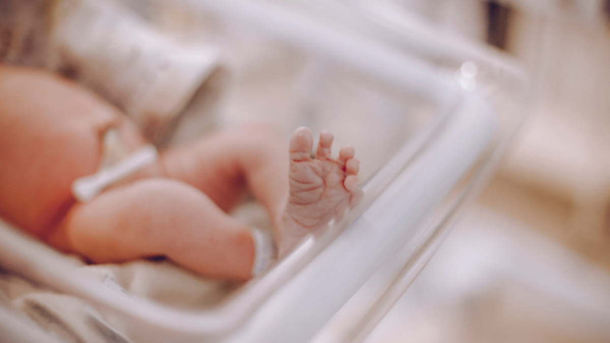 La tasa de natalidad ha caído hasta 7,52 nacimientos por cada 1.000 habitantes.