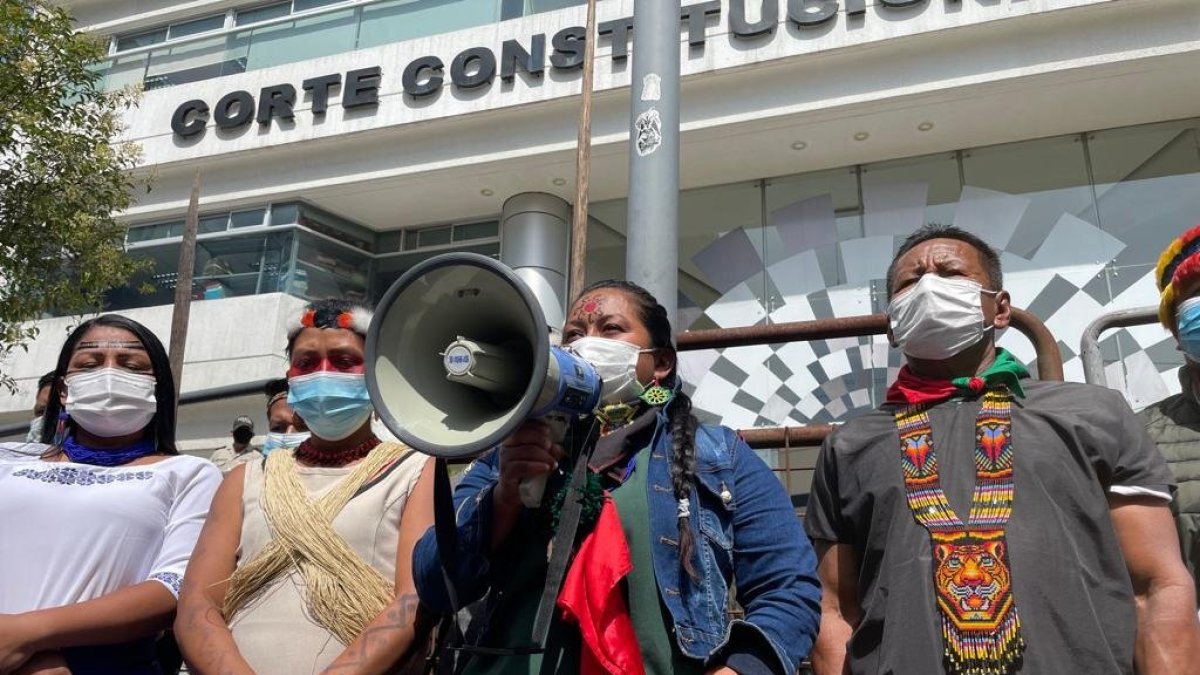 Respaldo. Se recolectó firmas a través de campañas internacionales.