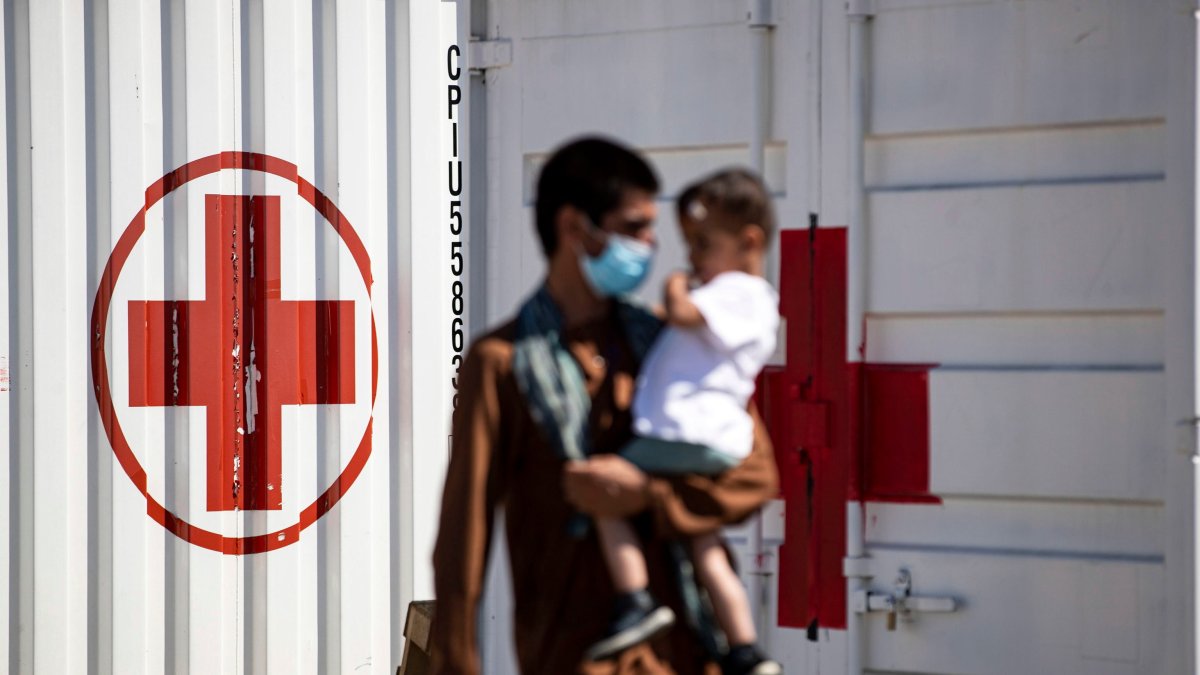 Los datos proceden de sesenta sociedades nacionales de la Cruz Roja y la Media Luna Roja