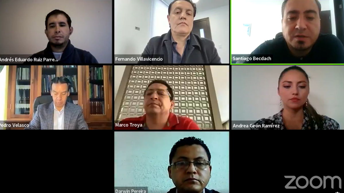 Las comparecencias se produjeron por vía telemática debido a las medidas adoptadas por la Asamblea por el aumento de contagios con COVID-19.