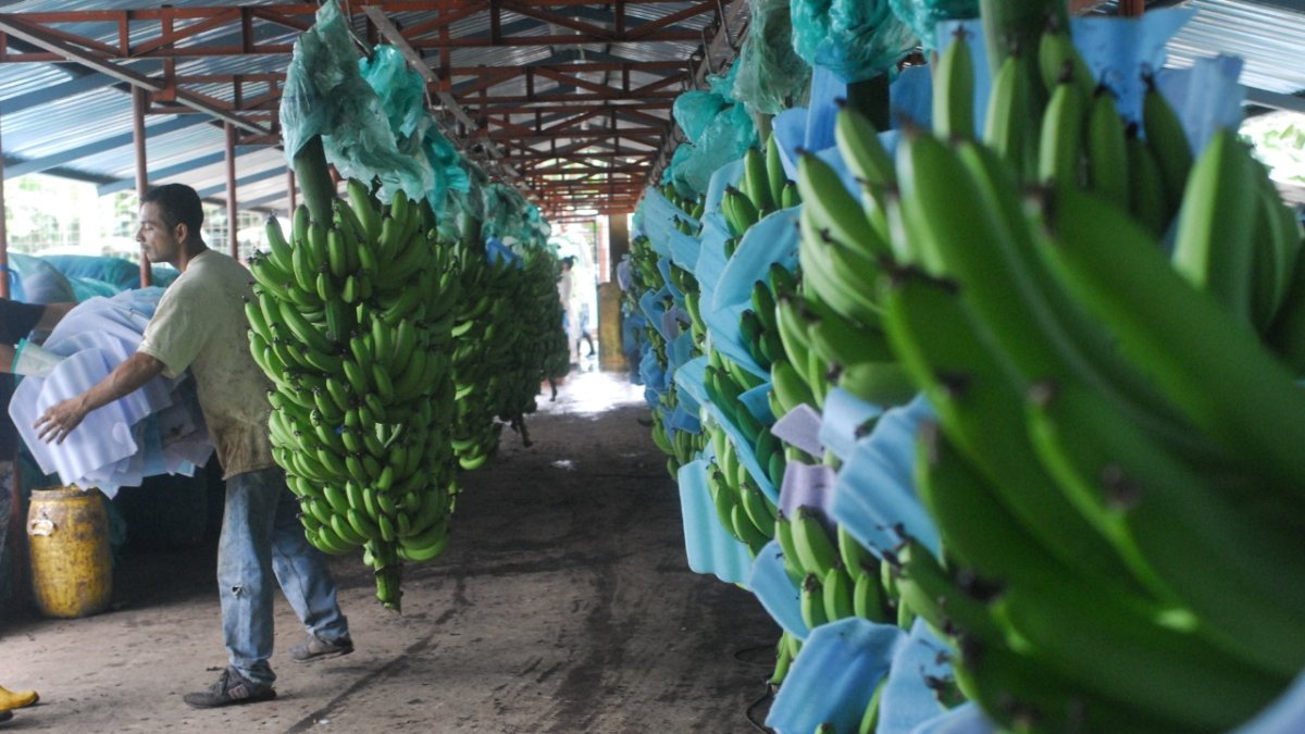 Pese al mal año en exportaciones, la producción se incrementó en 2021.