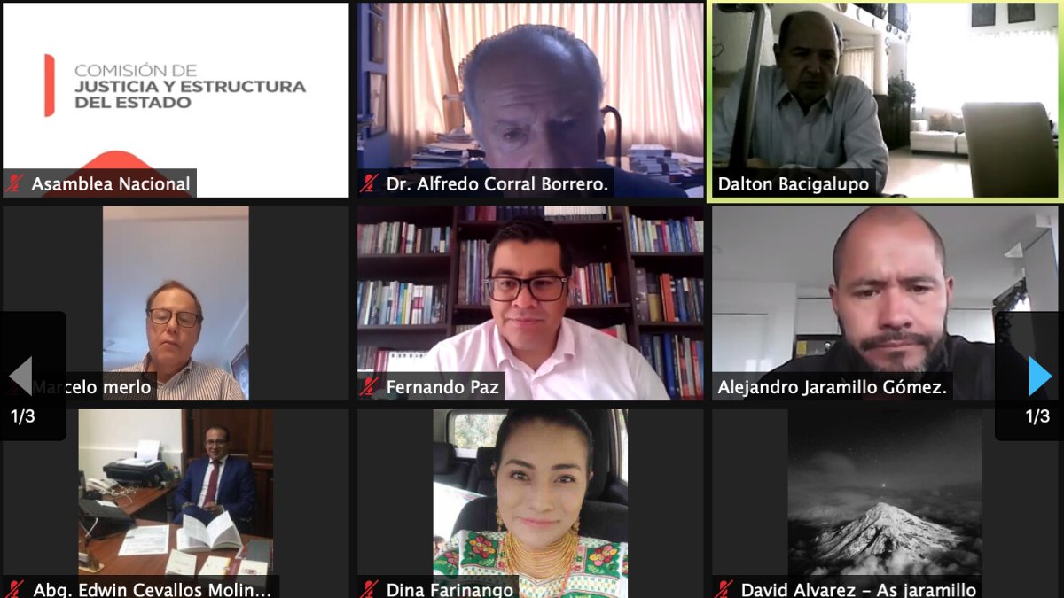 Debate. La mesa legislativa deberá elaborar el informe para que sea tratado en el Pleno de la Asamblea Nacional.