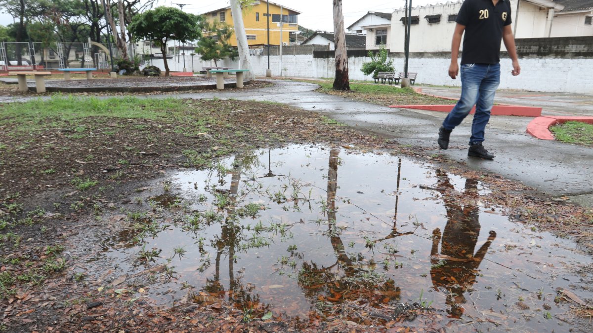 Parques descuidados e inundados en el norte. Este tipo de condiciones son propicios para los mosquitos
