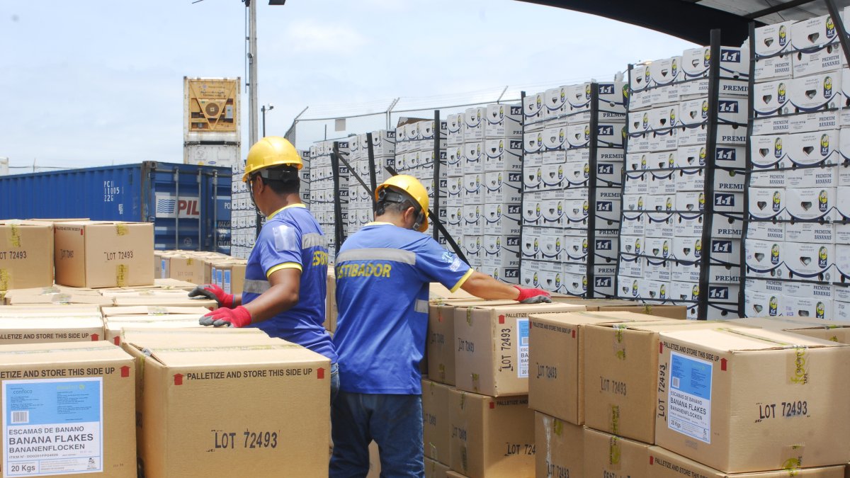El sector bananero estima que en el 2021 se habrían vendido hasta $ 3.350 millones en exportaciones.