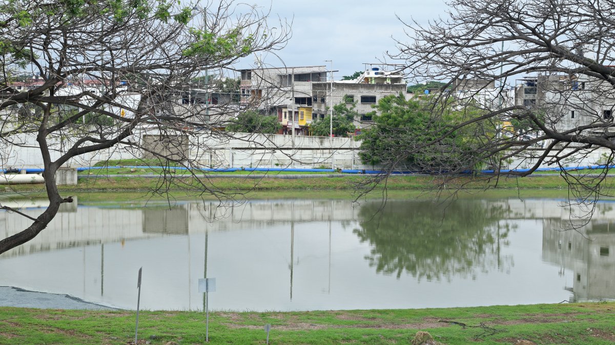 La planta. La queja de la ciudadanía proviene de esta laguna desde hace algunos años, la de Guayacanes Samanes, en el sector de El Limonal.