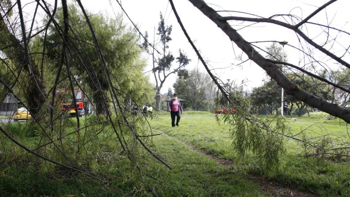 El Cabildo capitalino dispuso la contratación de 66 guardias de seguridad para los parques de la ciudad.