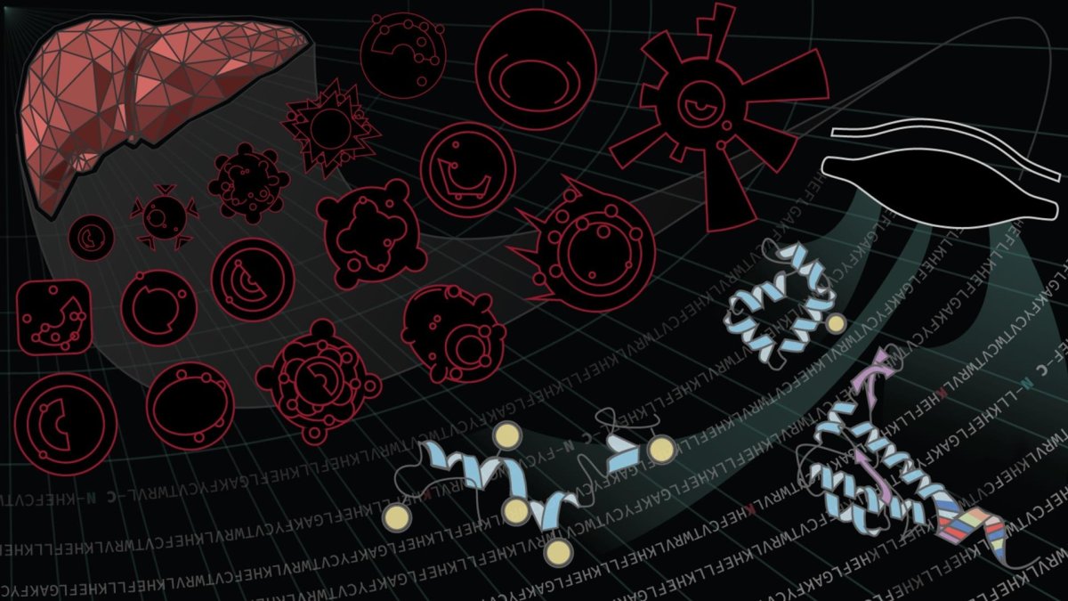 El Blood Proteoform Atlas (BPA), un catálogo que describe cerca de 56.000 proteoformas identificadas a partir de 21 tipos de células humanas y plasma.