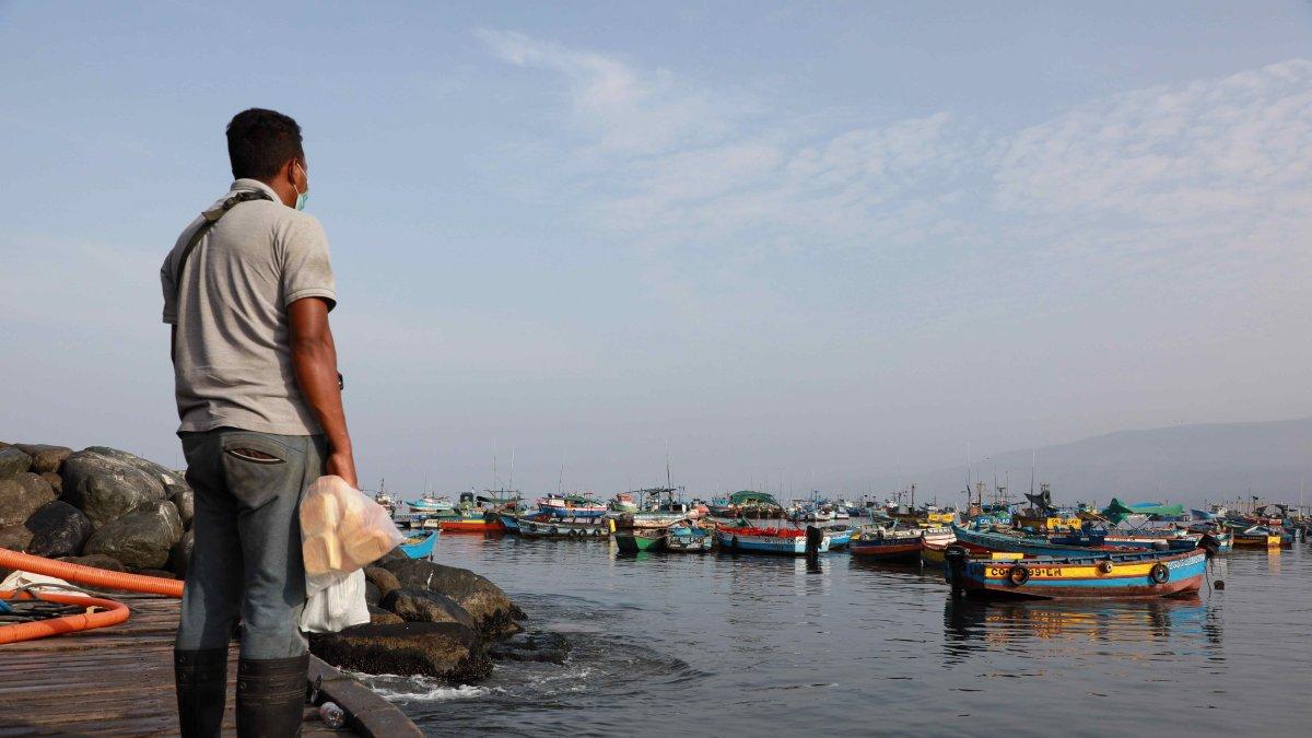 El pueblo pesquero de Ancón se ha llenado de embarcaciones, redes y peces, pero ahora solo luce la desesperación y el enfado de pescadores tras el derrame de petróleo en el norte de Lima.