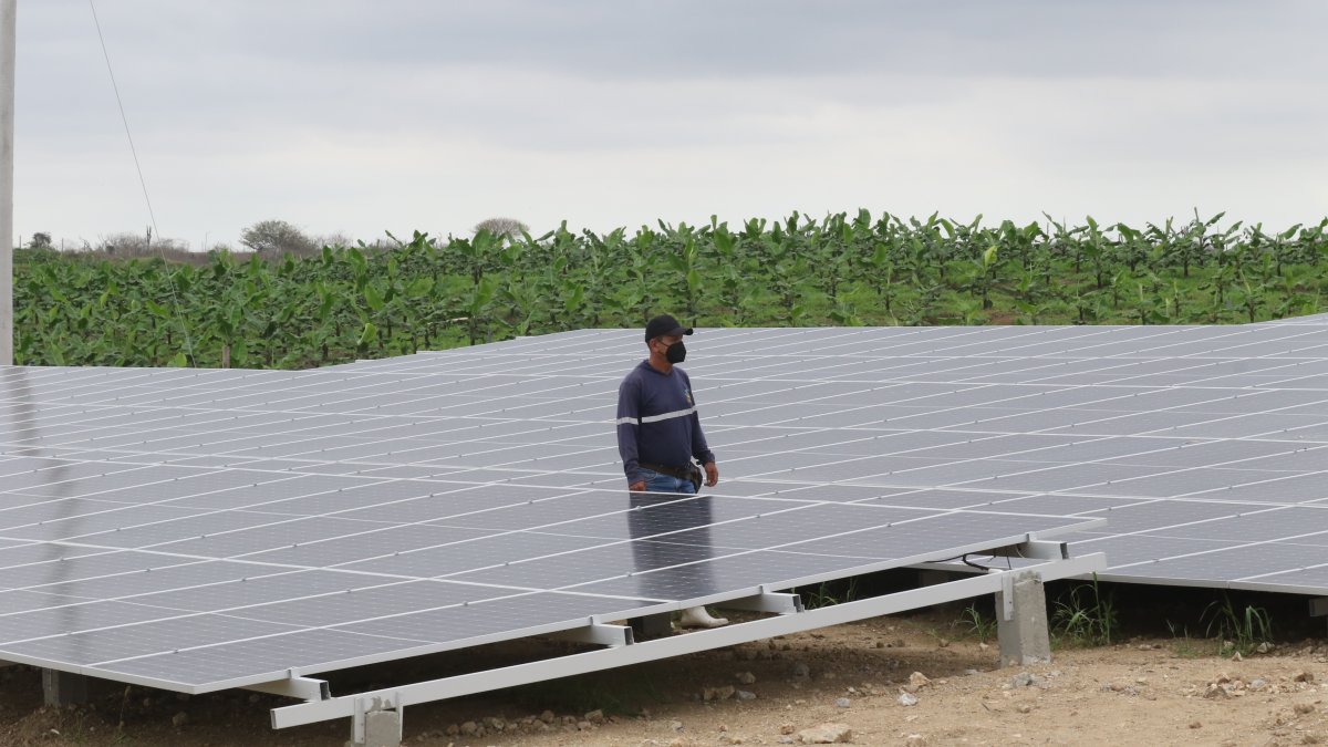 En la finca Don Polo, ubicada en Chanduy, Santa Elena, se instalaron 780 paneles solares. El ahorro de energía eléctrica en esta hacienda es de $ 5.000 al mes.