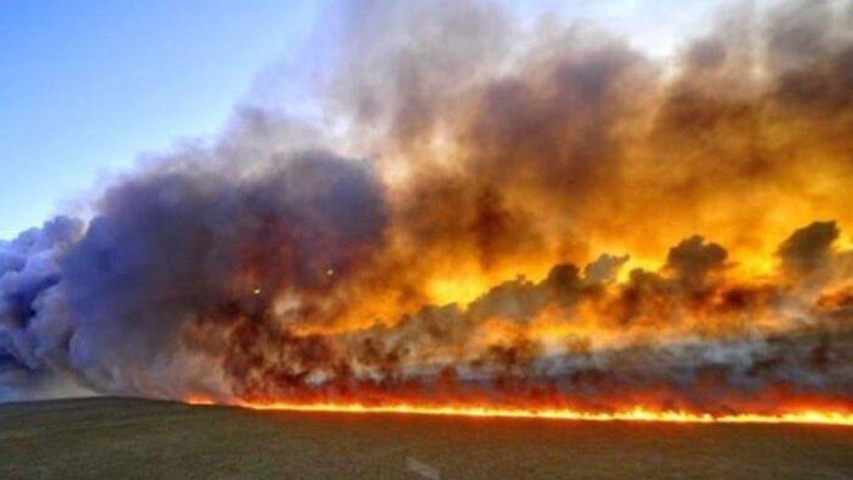 Los incendios forestales afectan gravemente al llamado pulmón del planeta.