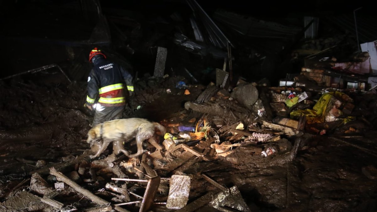 Rescatistas buscan en los escombros si hay sobrevivientes.