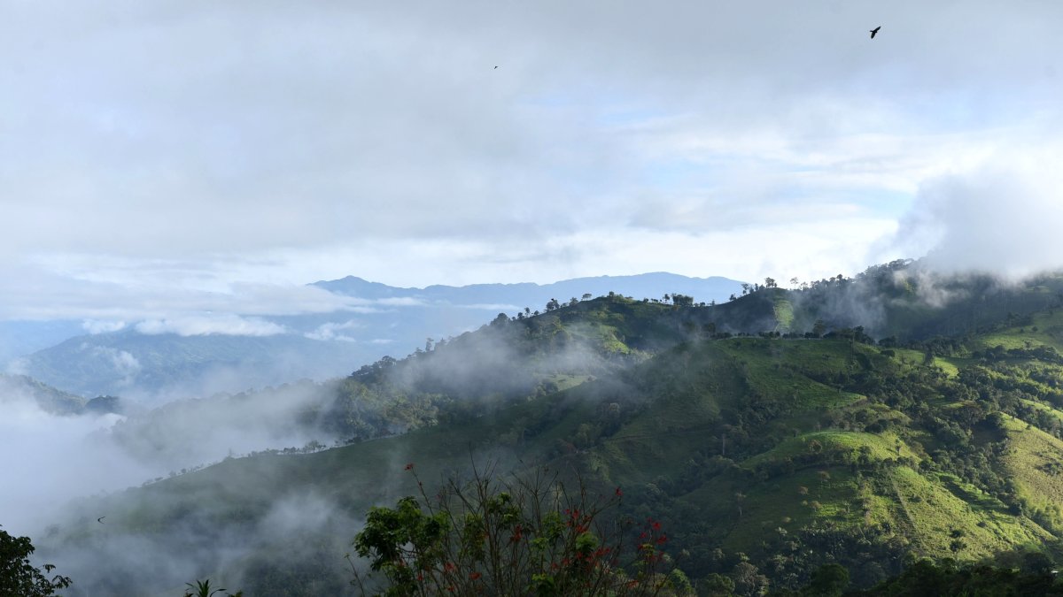 El Chocó Andino, en julio de 2018, fue declarado como la séptima Reserva de Biósfera en el mundo.
