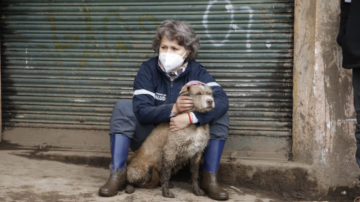 Una funcionaria de Rescate Animal del Municipio rescató a una mascota este miércoles.