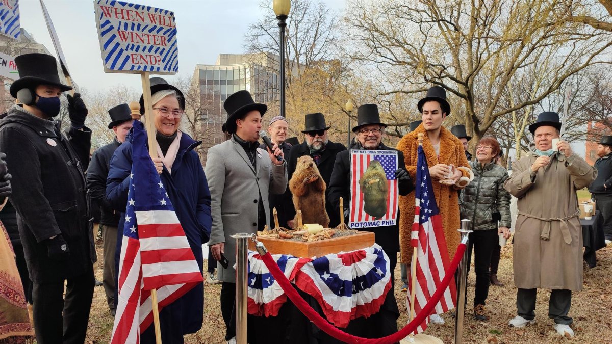 Los maestros de ceremonia del Día de la Marmota comunican hoy las predicciones de Phil del Potomac, una marmota disecada con un piñón entre sus garras, durante la celebración del evento en Washington (EE.UU.).