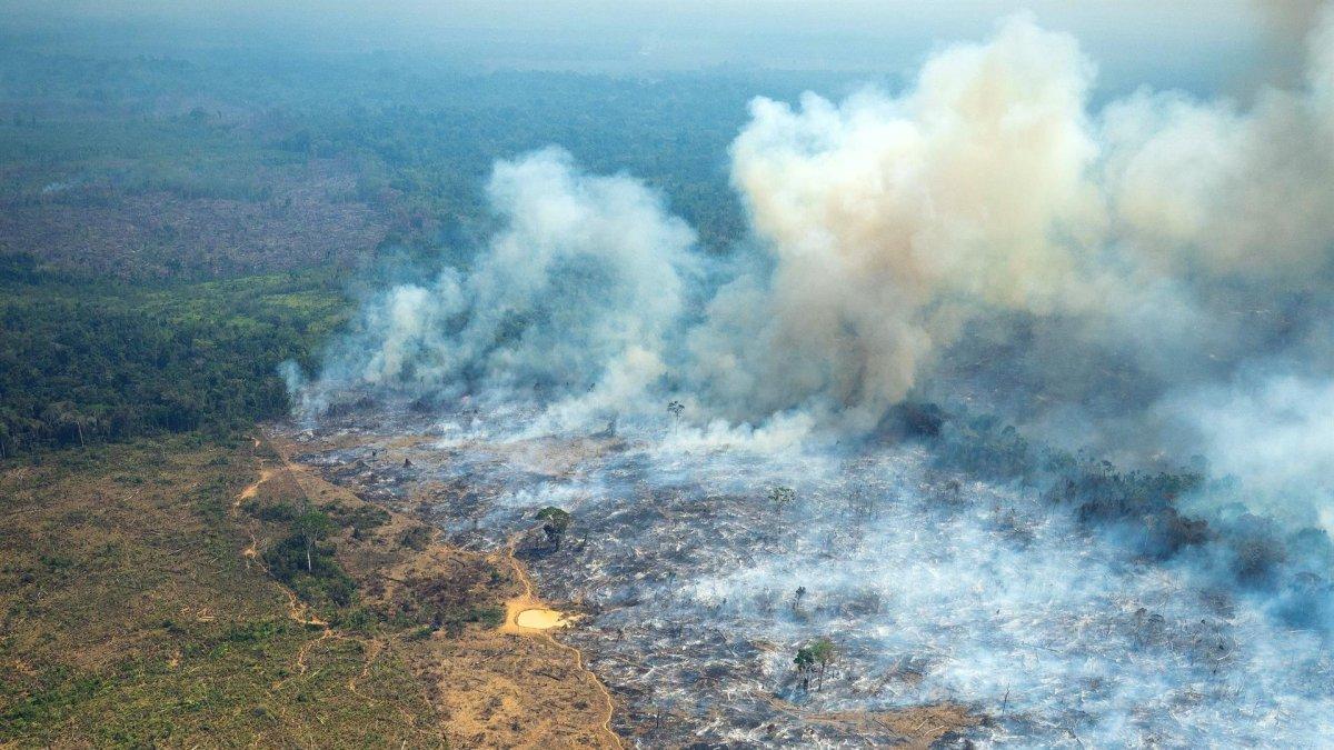 EFE/Ministerio de Defensa
Fuente:
Ministerio de Defensa
Autor:
Ministerio de Defensa
Temática:
Catástrofes y accidentes » Incendios
Medio ambiente » Contaminación » Contaminación del aire
Fotografía cedida por el Ministerio de Defensa de Colombia de un incendio provocado por las disidencias de las FARC, el 4 de febrero de 2022, en el Parque Nacional Natural Serranía de Chiribiquete, en San Vicente del Caguán (Colombia).