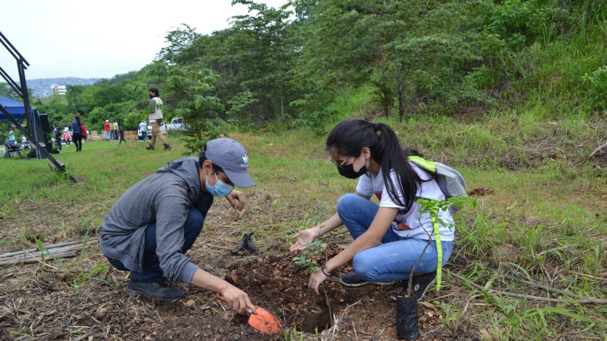 Estudiantes participaron en la siembra de árboles en el Cerro Protector El Paraíso.