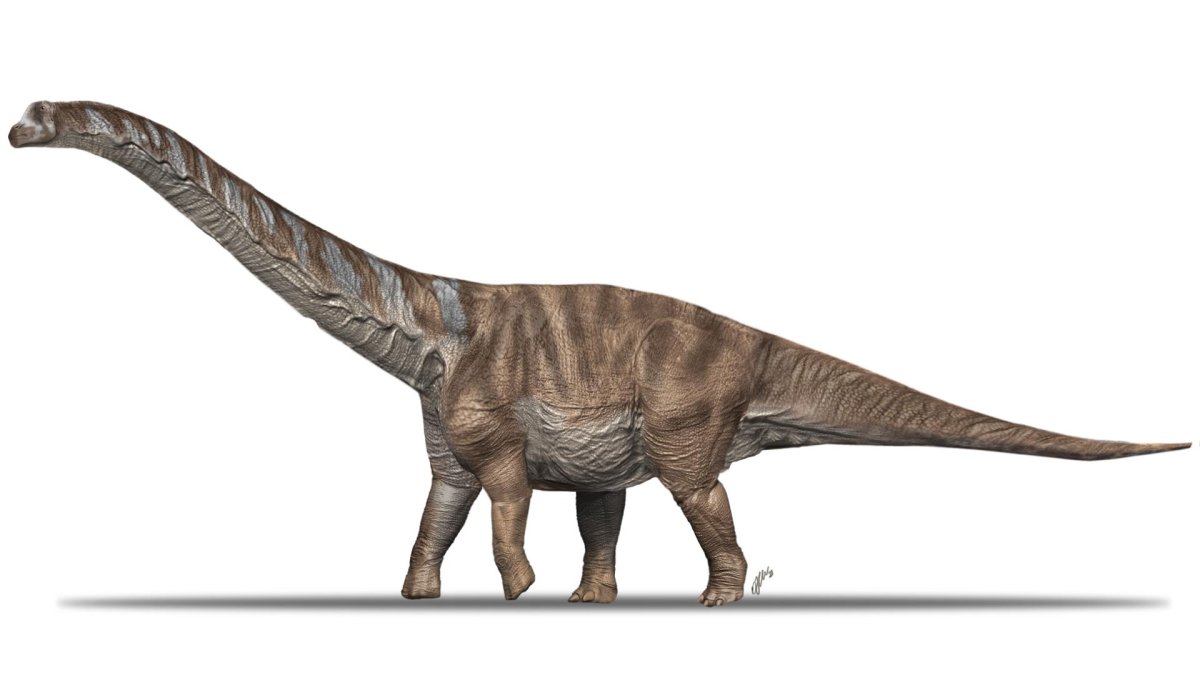 Reproducción del dinosaurio titanosaurio Abditosaurus kuehnei cedida por el Institut Català de Paleontologia.